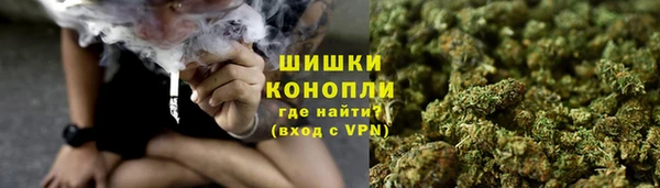 бошки Богородицк