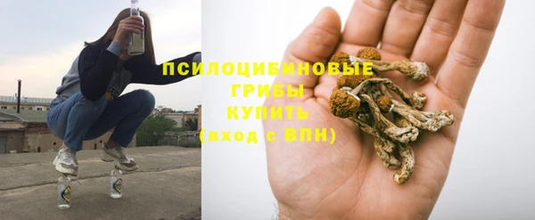 спиды Богородск