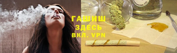 спиды Богородск