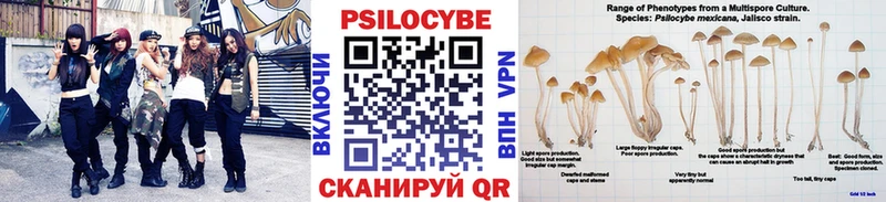 купить   hydra   Галлюциногенные грибы Psilocybe  Сковородино 